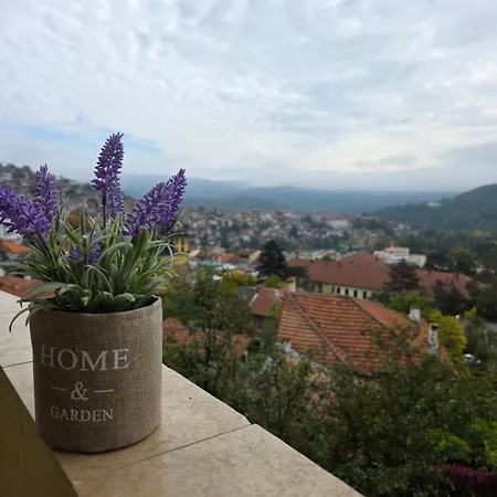 Apartment ванкови 2